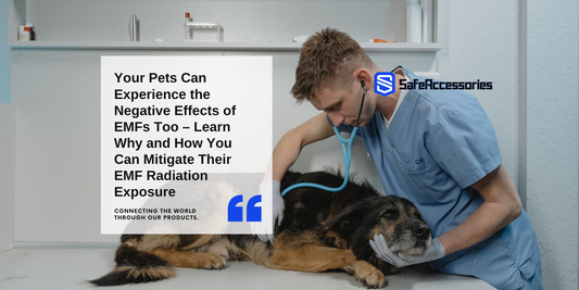 Your Pets Can Experience the Negative Effects of EMFs Too – Learn Why and How You Can Mitigate Their EMF Radiation Exposure